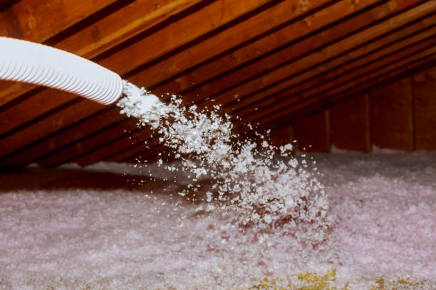 Best DIY Insulation Kits and Guidance in Waterloo, WI